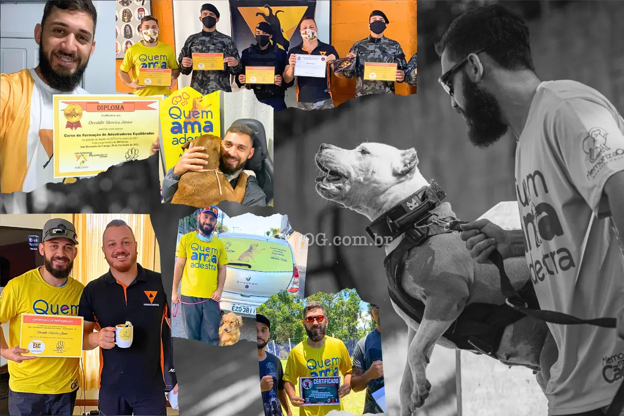 Curso adestrador com certificado