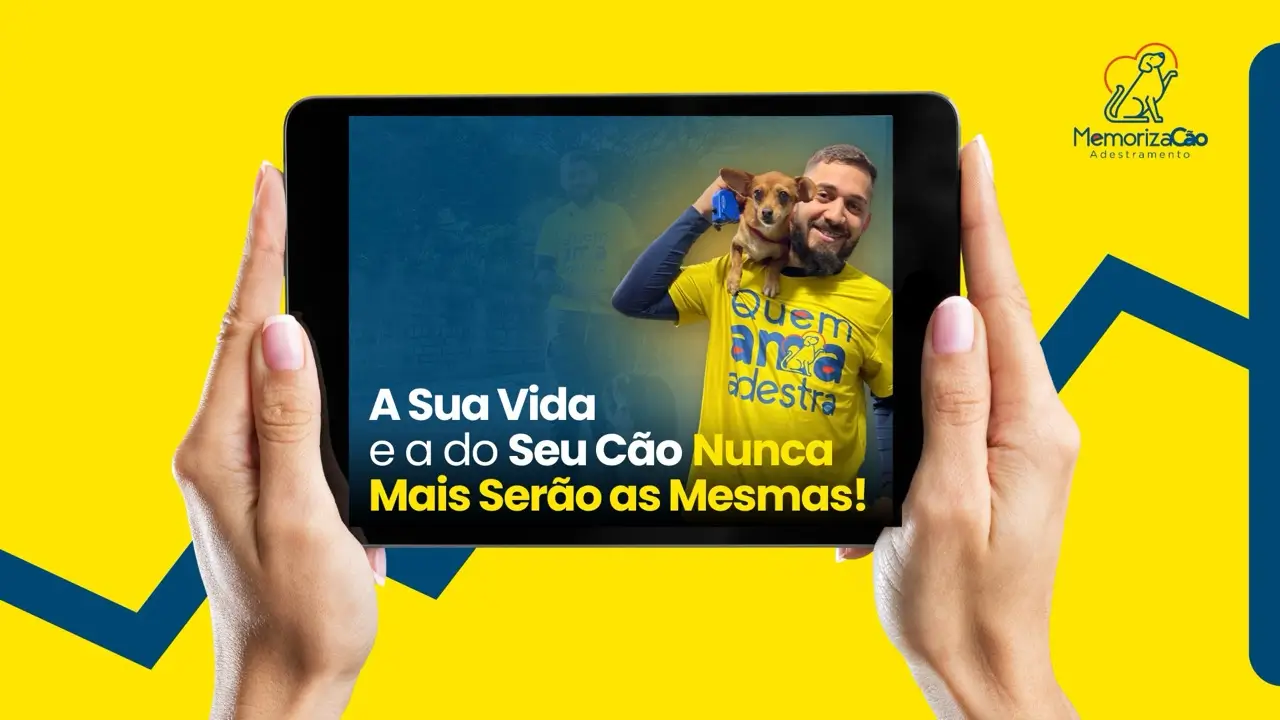 Como saber se o adestrador é bom?