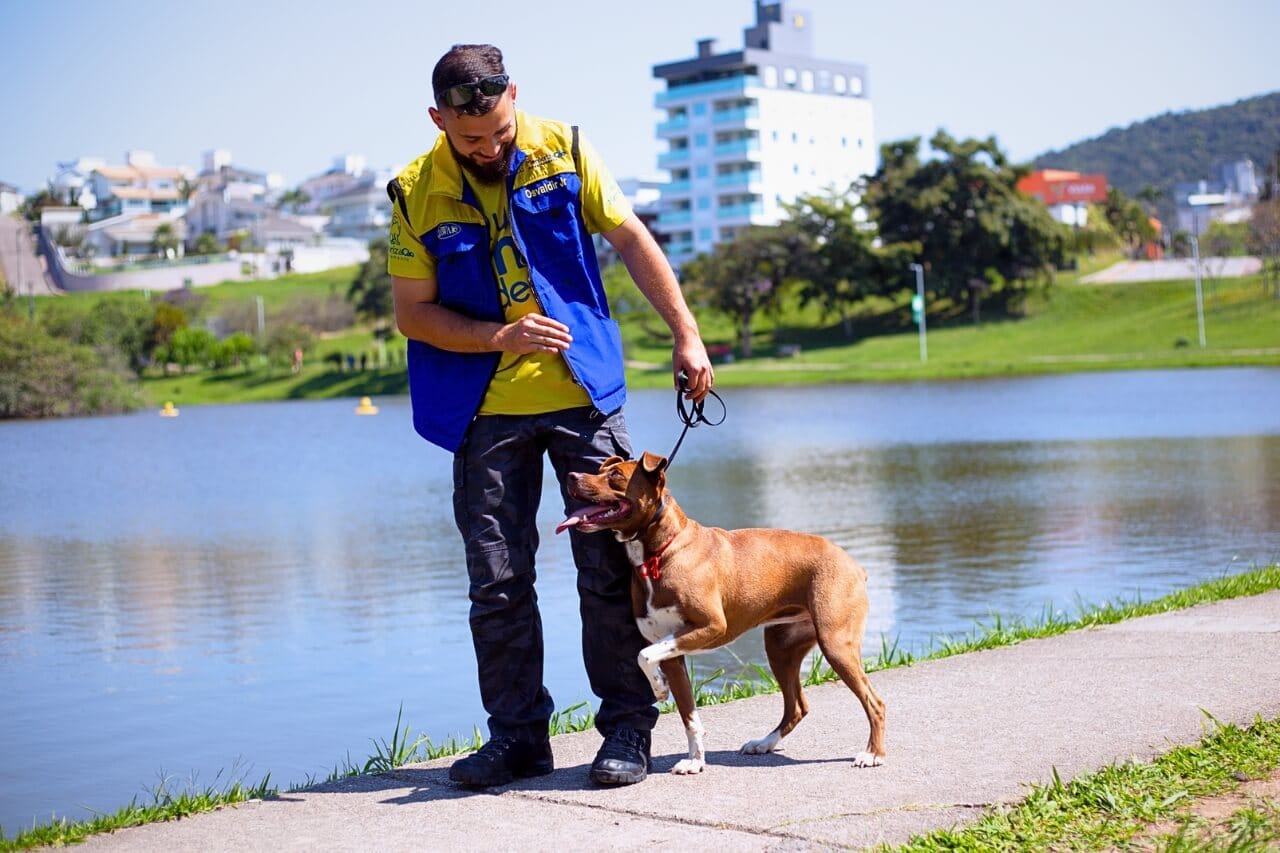 adestrador com mais visualização