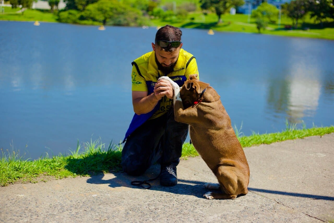 Pra que serve adestramento