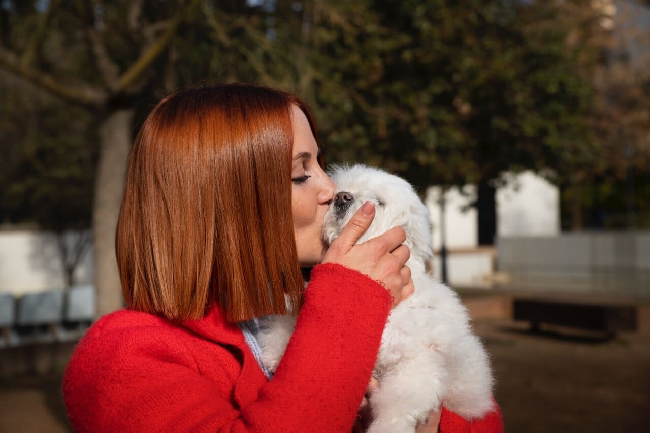 Qual a idade ideal para treinar um cachorro?