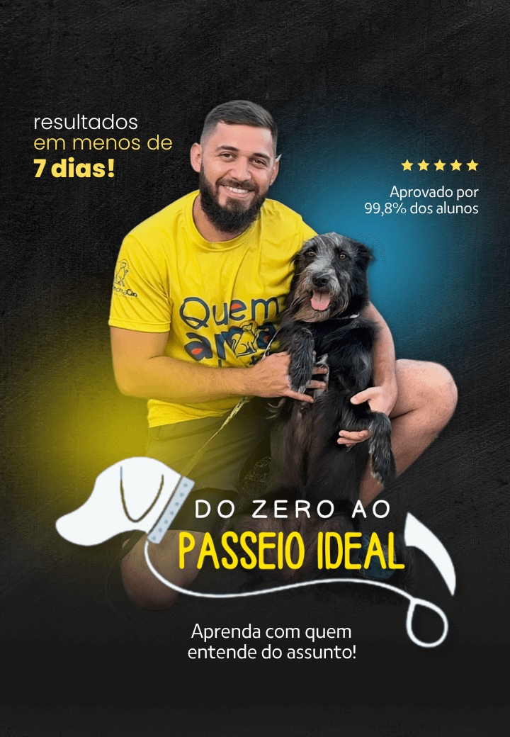 Curso para ensinar cachorro a passear