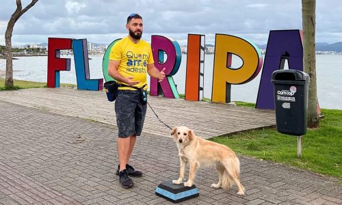 Quanto custa adestrar cachorro em São José ou em Biguaçu