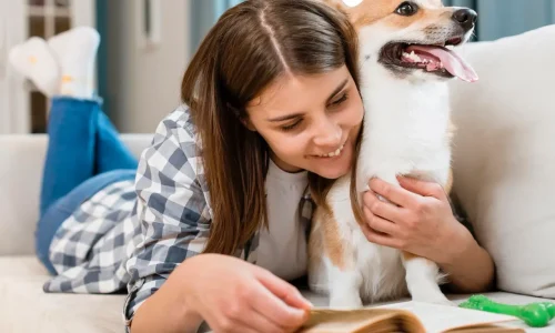 Quando começar adestrar meu filhote