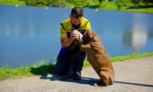 Preciso adestrar meu cachorro
